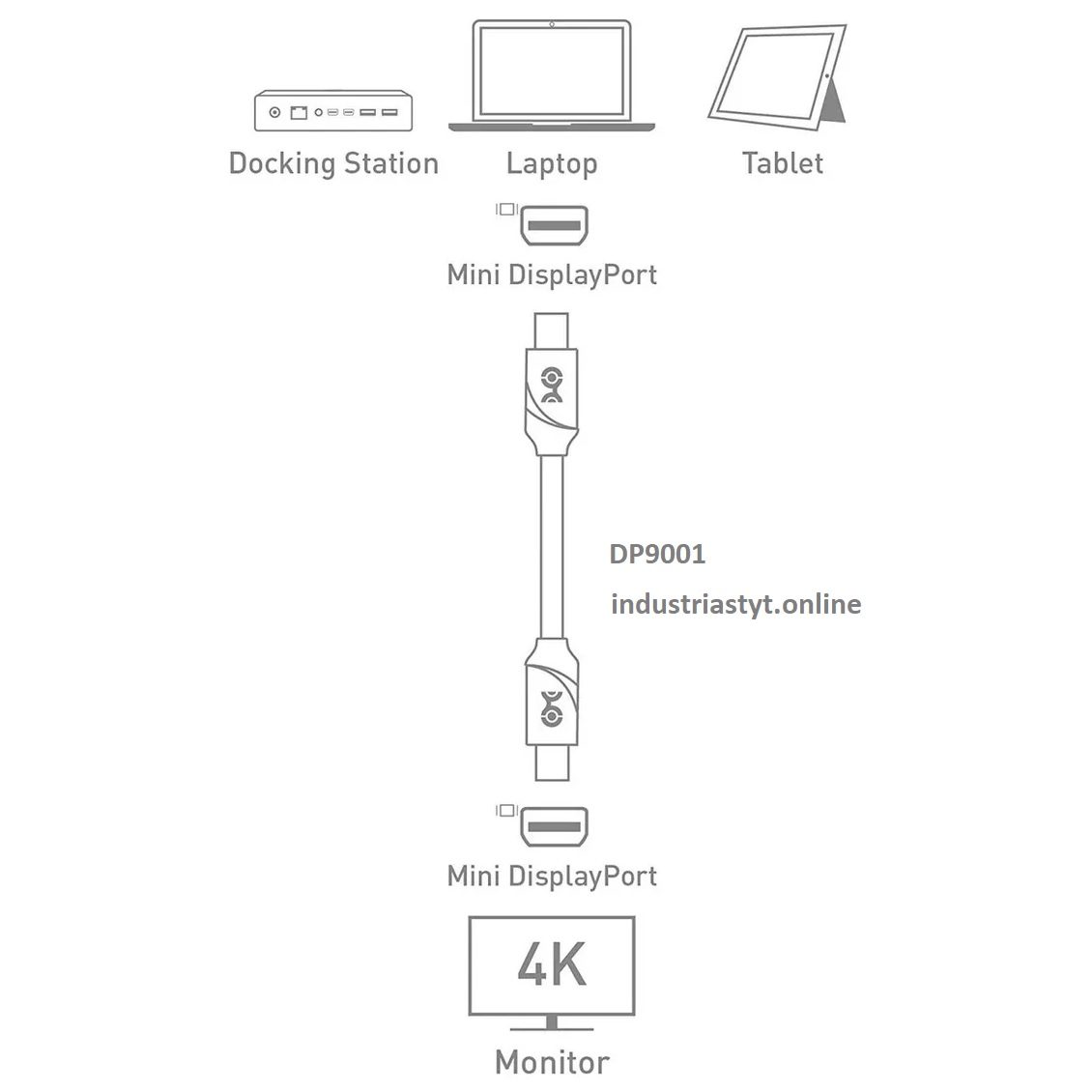 Cable Mini Didplay Port Macho a Macho 2mt - Image 2