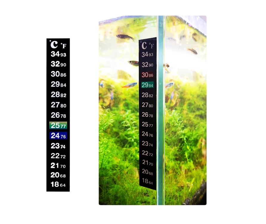 Termometro en tira con adhesivo - Image 2