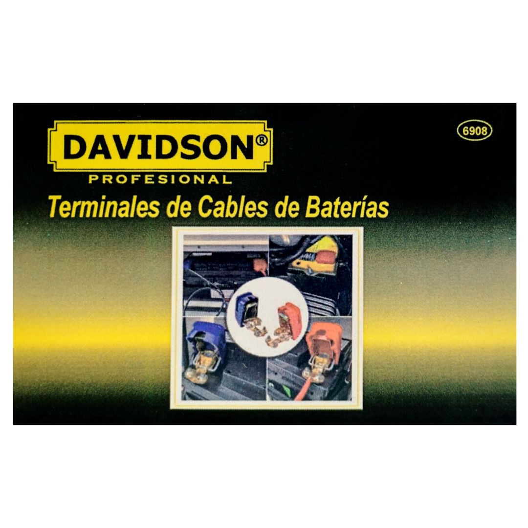 Borne para Bateria con Tapa juego x2+- - Image 3
